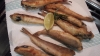 Merluzzetti fritti